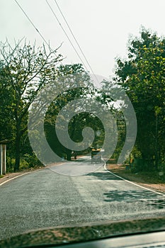 people on a motorcycle riding down the road on a sunny day