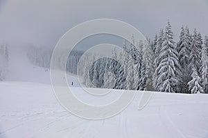 People on mountain in Czech ski resort Spindleruv Mlyn photo