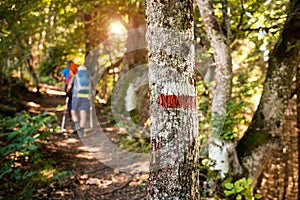 People mountain hiking in the woods