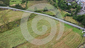 People mow the grass in the field with scythes and motor mower, top view