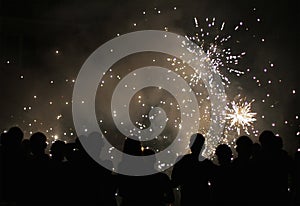 People observing fireworks