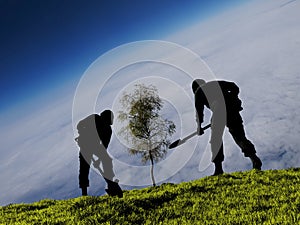 People plant tree