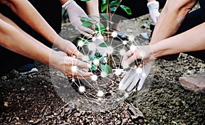 People planting trees To protect the environment The concept