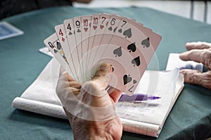 People playing card game card Detail