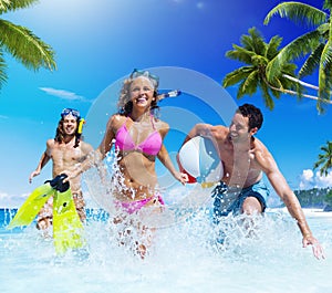 People Playing at a Tropical Beach Enjoyment Concept