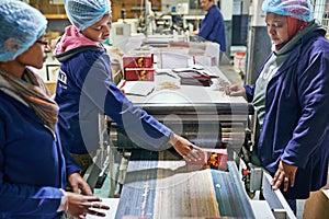 People, printer and warehouse production in factory for wholesale distribution, publishing or manufacturing. Workers