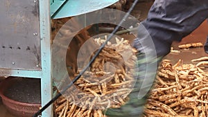 People processing Kudzu flour