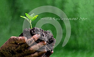 People are protect small plants by hand on green blur nature background, earth day or world environment day concept. Green world