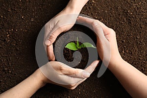 People protecting young seedling on soil