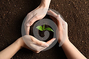 People protecting young seedling on soil