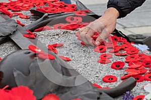 People put poppy flowers on Tomb of the Unknown Soldier in Ottawa, Canada on Remembrance Day.