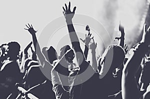 People with raised arms partying at concert