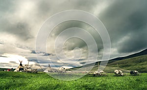 People and reindeers