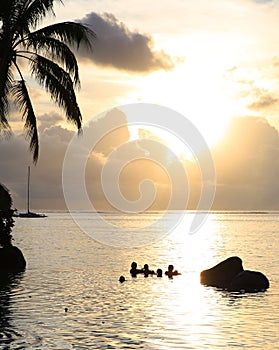 People relaxing in pool at sunset