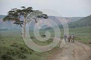 Cyclists ride bikes through Hell's Gate National Park in Kenya photo