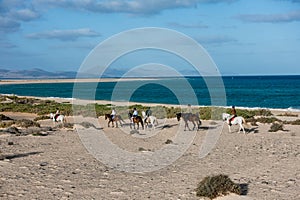 people riding a horse in the desert of the Canary Islands.