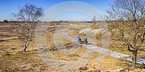 People riding their bicycle in the dunes of the national park Drents-Friese Wold