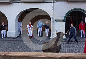 People running from the bulls during the Bull Runs festivities Navarre, Spain.