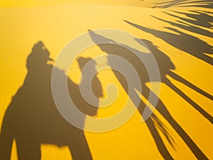 People`s shadow riding camels