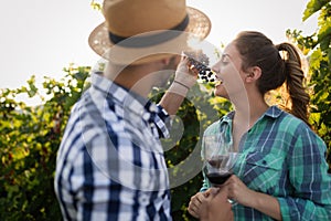 People sampling and tasting wines in vineyard