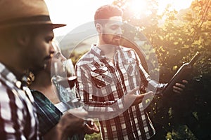 People sampling and tasting wines in vineyard