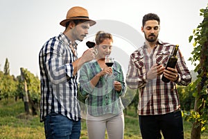 People sampling and tasting wines in vineyard