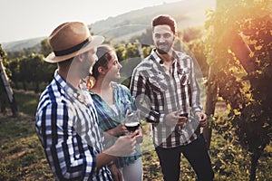 People sampling and tasting wines in vineyard