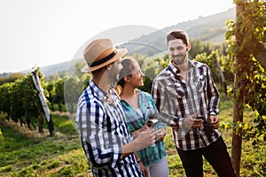 People sampling and tasting wines in vineyard