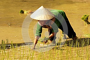 People of Sapa in Vietnam