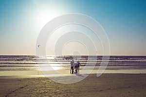 People in a sea on a sunset, Arambol beach, Goa, India. Paragliding on the background