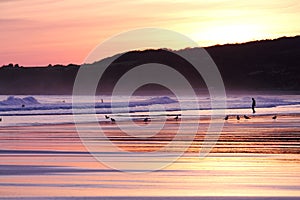 People and seagulls in wonderful summer scenery on atlantic ocean in sunrise on a sandy beach of hendaye