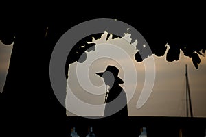 People are seen, in silhouette, walking along the shore of Porto da Barra beach