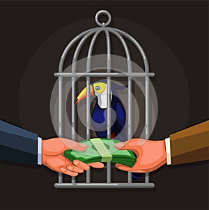 People selling toucan exotic bird. wildlife trade illegal business illustration concept in cartoon vector