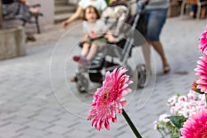 people shopping behind pink flower