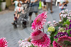 people shopping behind pink flower
