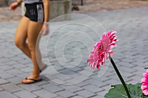 people shopping behind pink flower