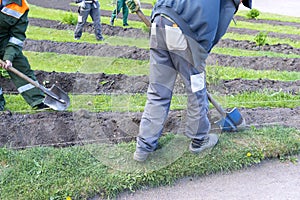 People with shovels dig the ground, make flower beds, gardeners