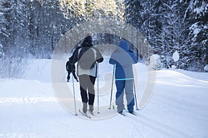 Sciare inverno sul sciare orologio attraverso foresta attraverso Paesi sciare 