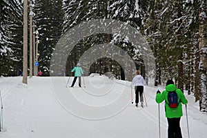 People skiing in the background of a winter forest landscape