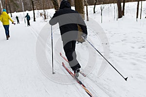 People skiing in winter woods