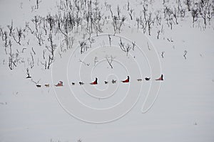 People sledding on the mountain
