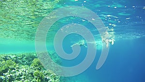 People Snorkeling Underwater in the Red Sea, Egypt