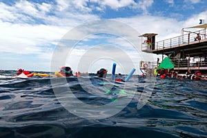 People snorkelling and dive from a platform in the Great Barrier