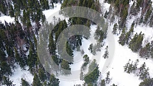 People snowboarding down the slope in the winter forest, extreme sport concept. Footage. Aerial top view of Athlete