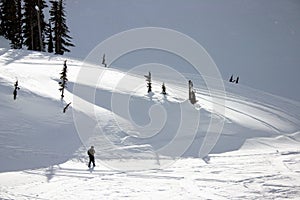 People snowshoeing