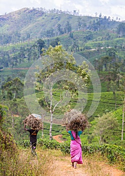 People on Sri Lanka