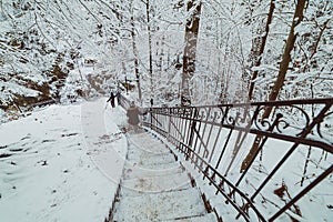 people on stairs in the snowy mountain park