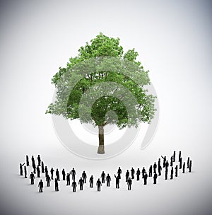 People standing around a large tree