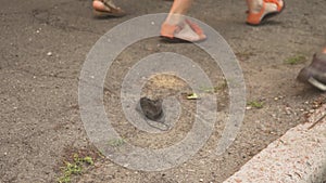 People step on black face mask lying on road. Quarantine lifestyle. Breathing protection.