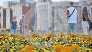 People stroll through the city among the flower beds.